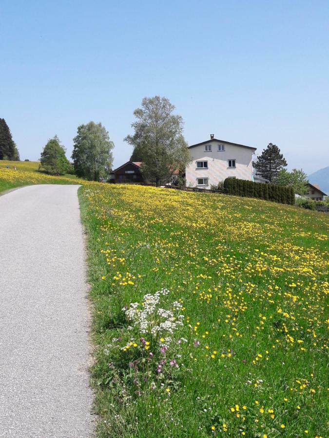 Haus Homann Apartamento Sulzberg  Exterior foto